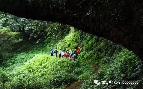 我市多举措织密织牢医疗保障网